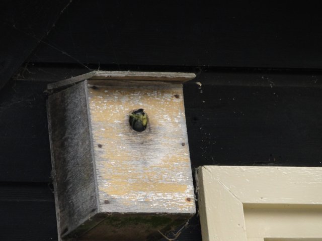 HWK 2010 474.jpg